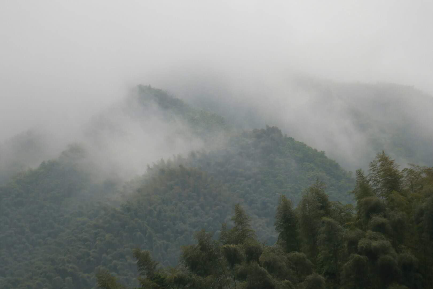 1523965031393000988.png 1523965031393000988.png