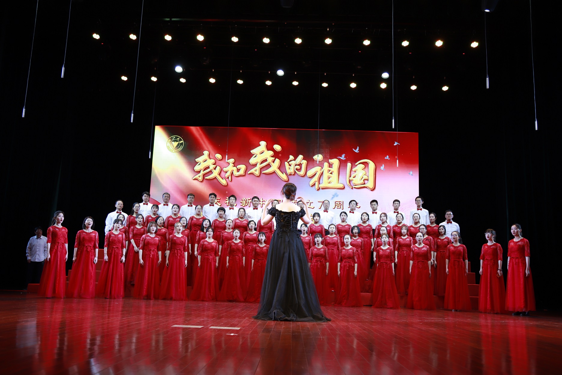 1560908855268042894.jpg 1560908855268042894.jpg